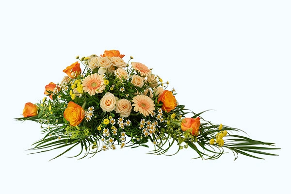 Clipping-Path-Company_After