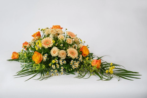 Clipping-Path-Company_Before